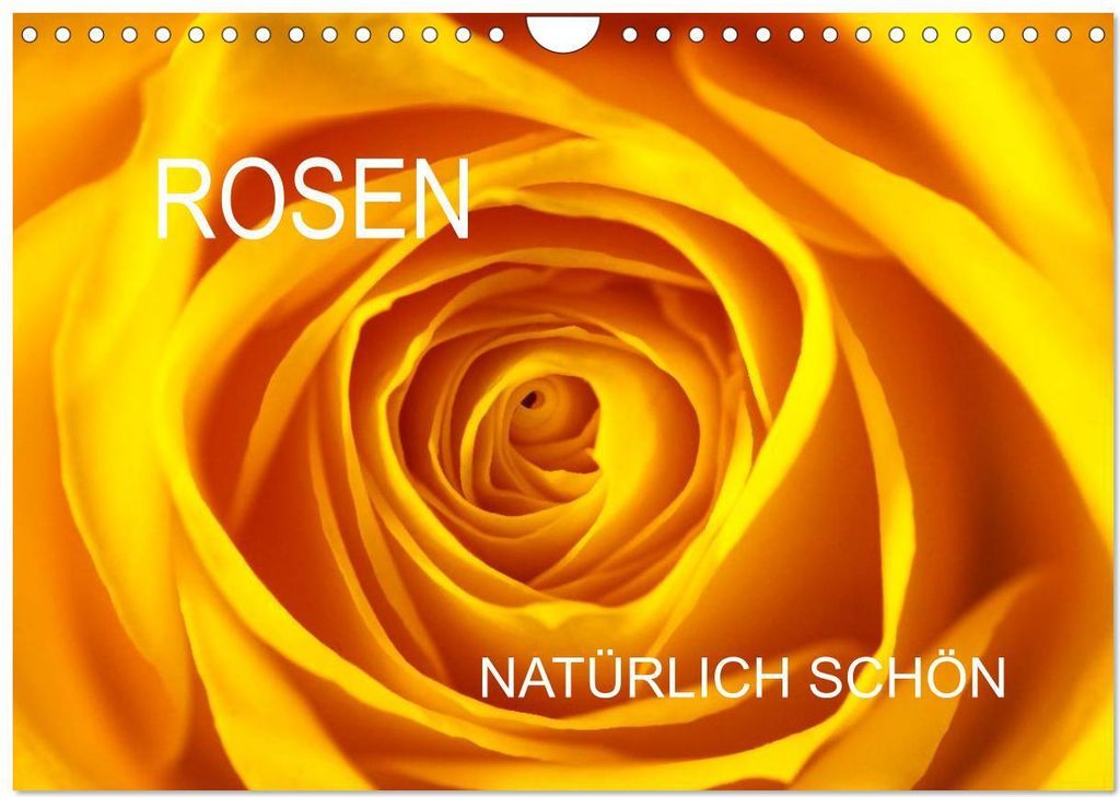 Rosen natürlich schön (Wandkalender 2026 DIN A4 quer), CALVENDO Monatskalender