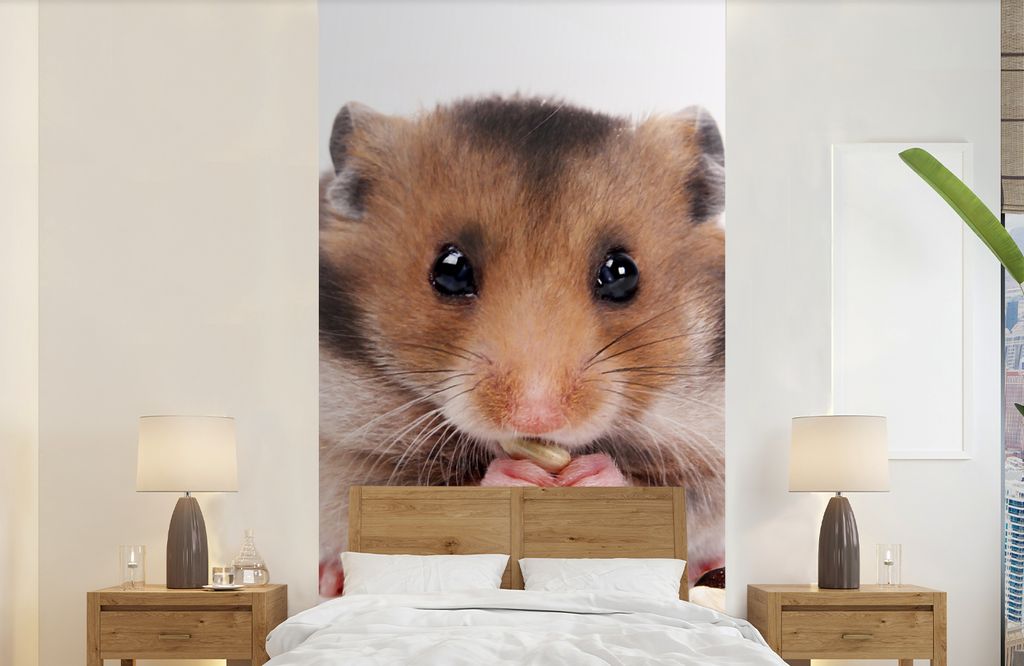 MuchoWow Fototapete für Wohnzimmer oder Schlafzimmer Wandtapete Vinyl Motivtapete Hamster frisst Samen - 120x240 cm - Hintergrundbild