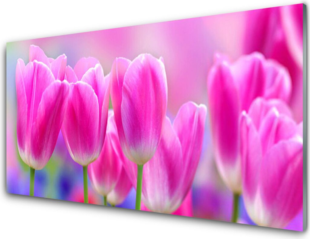 Acrylglasbilder 100x50 Wandbild Druck Tulpen Pflanzen