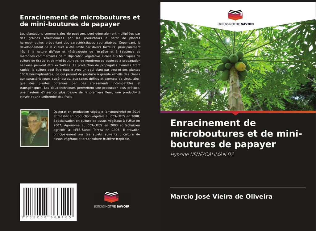 Enracinement de microboutures et de mini-boutures de papayer