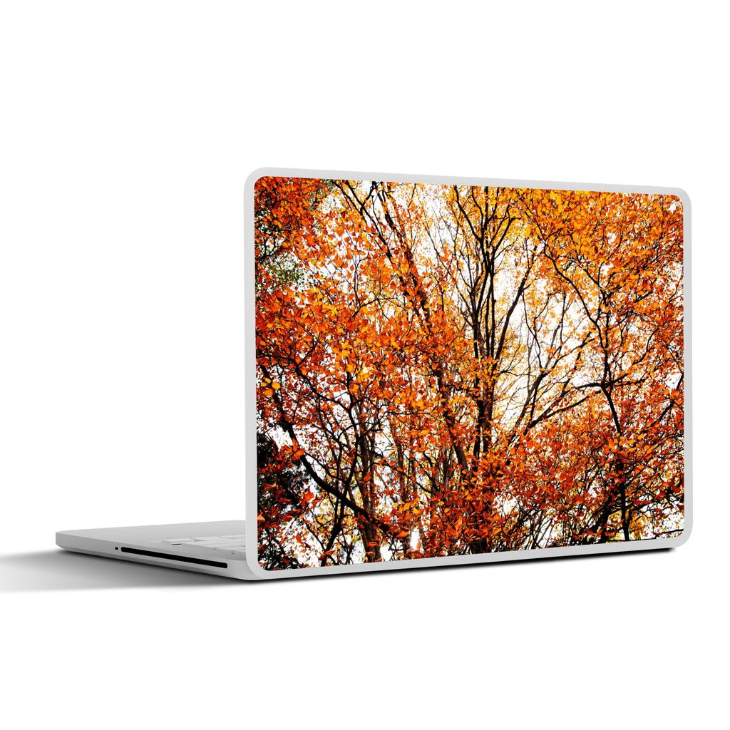MuchoWow Laptop Aufkleber Sticker Cover Wald - Herbst - Jahreszeiten 31x22.5 cm - Laptop-Deko