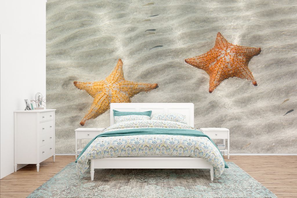 MuchoWow Fototapete für Wohnzimmer oder Schlafzimmer Wandtapete Vinyl Motivtapete Seestern - Wasser - Strand - 435x260 cm - Kinderzimmer