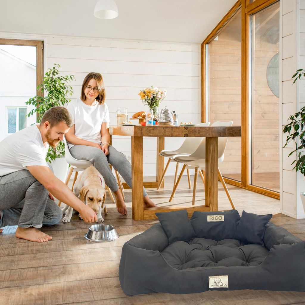 Tierlando MORITZ KOMFORT Hundebett Hundesofa M - XXXL 90 110 130 160 185 Cm Creme 90 Cm, 22 Cm, 75 Cm