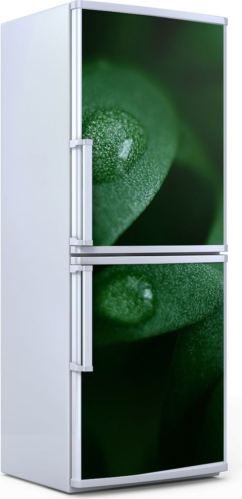 Kühlschrankdekoration 70x180 cm Aufkleber auf dem Kühlschrank - mikrogrüne Blätter