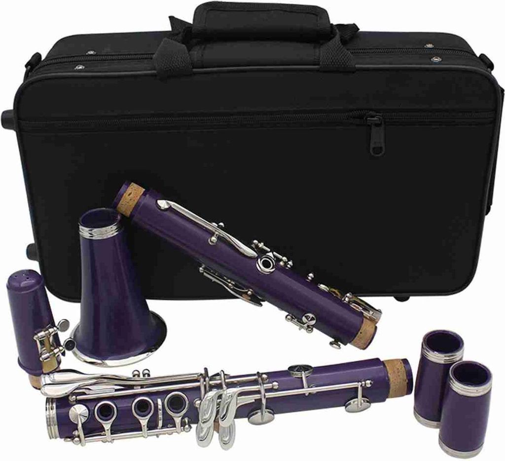 17 Key BB Clarinet Set, Professionelles Holzblaseninstrument, Leichtes ABS -Design mit Handschuhen, Reinigungsstoff, Schraubendreher und Schilflage...