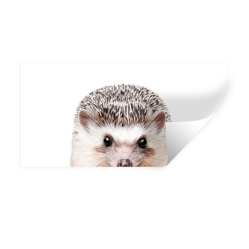 MuchoWow Wandtattoo Wandsticker Wandaufkleber Igel - Tiere - Natur - Weiß 40x20 cm Selbstklebend und Repositionierbar - Aufkleber