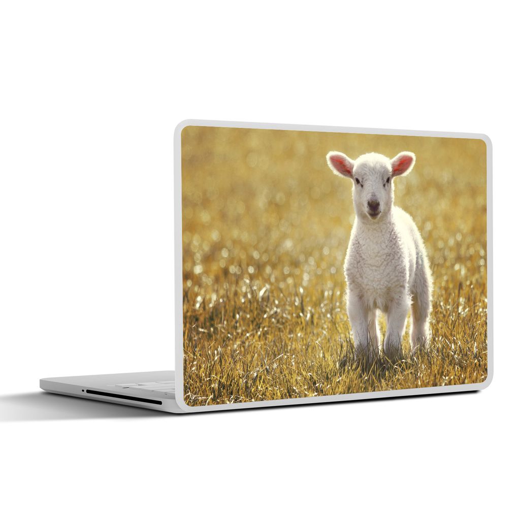 MuchoWow Laptop Aufkleber Sticker Cover Lamm - Gras - Sonne 36.5x27.5 cm - Laptop-Sticker