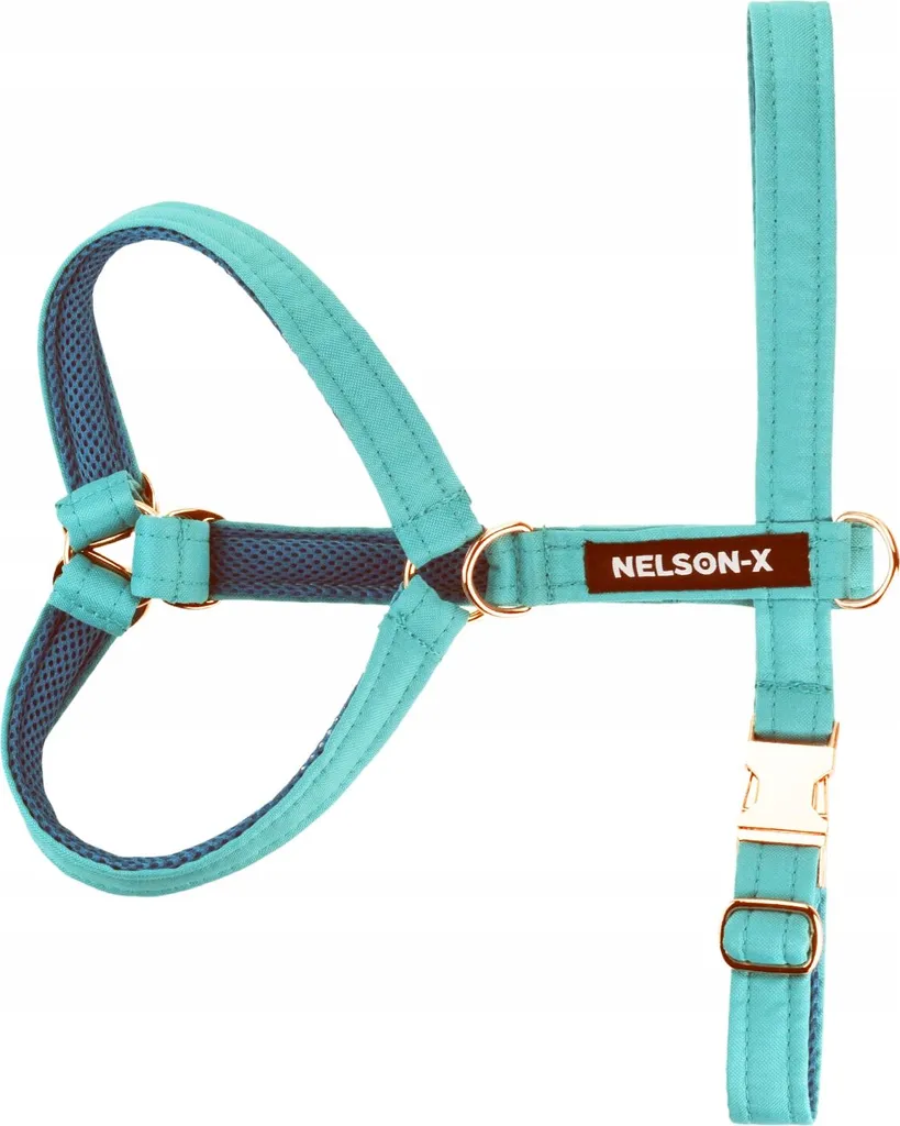 Imbracatura Nelson-X Goldie XL | Accessori Oro Lusso per Cani Grandi
