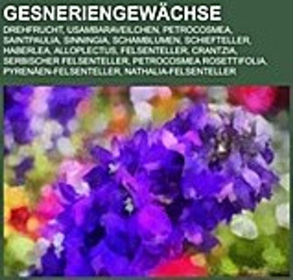 Gesneriengewächse
