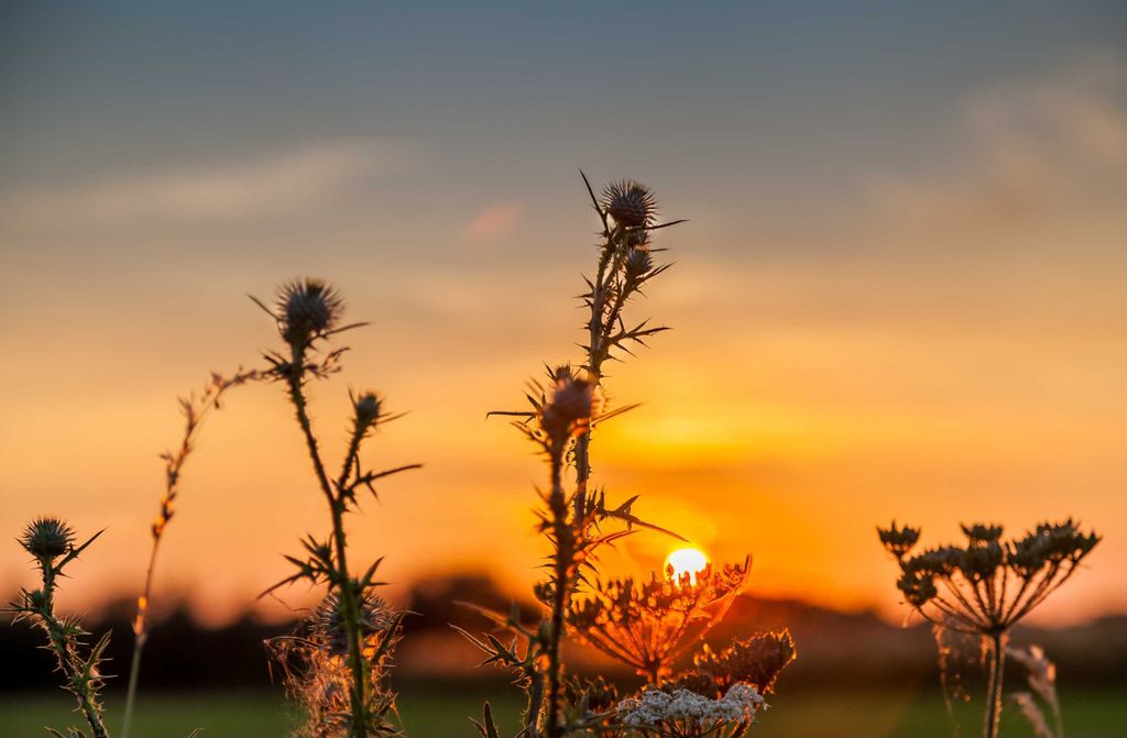 hansepuzzle 43474 - Sonnenuntergang Puzzle, 500 Teile, Natur, 46,0 x 30,0cm mit hochwertiger Aufbewahrung, Kartonbox und wiederverschließbarem Beutel