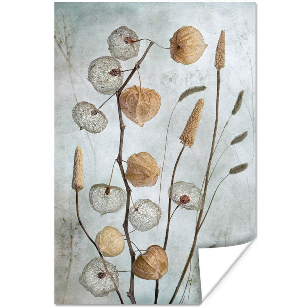 MuchoWow Poster Stillleben - Natur - Herbst - Trockenblumen 20x30 cm - Papierdruck