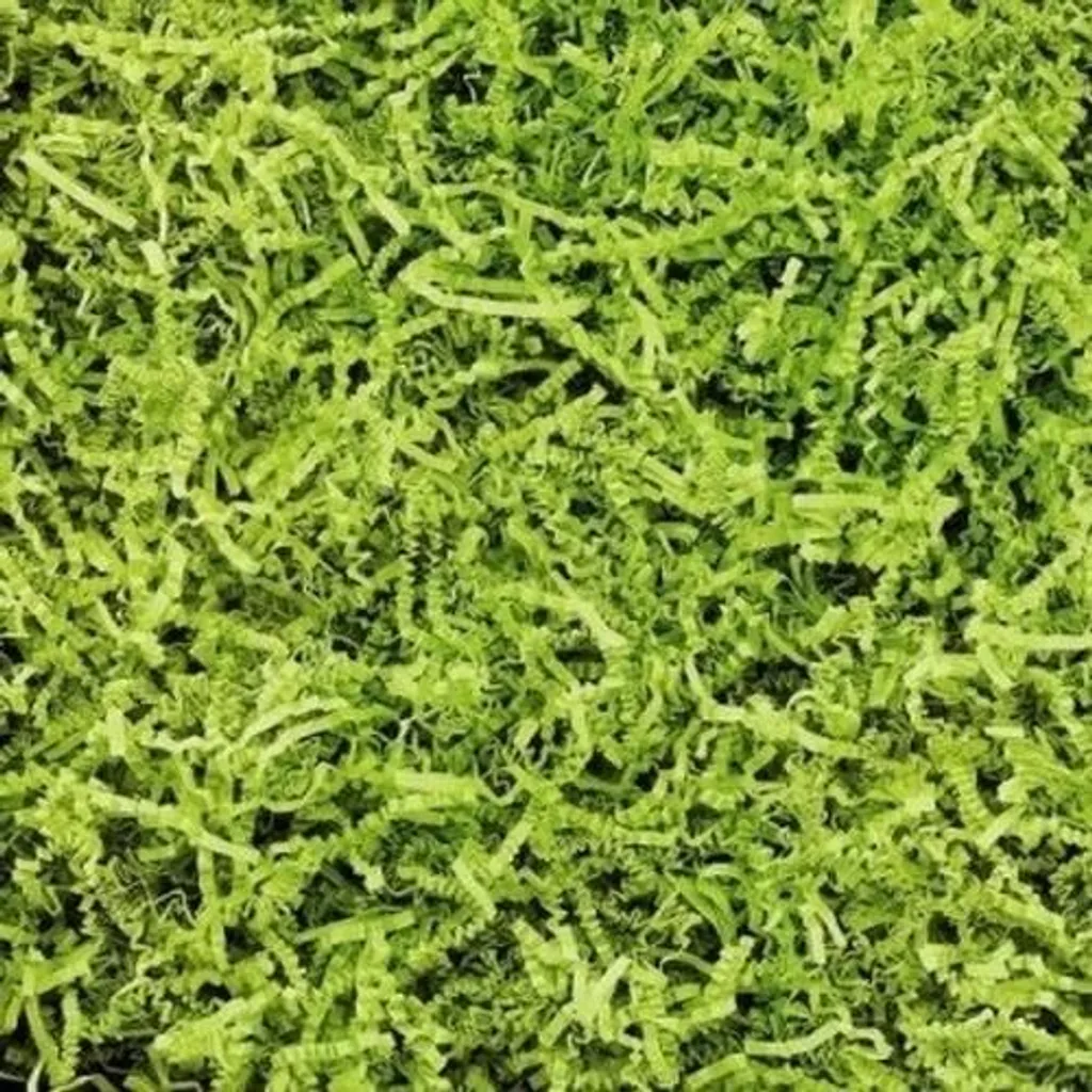 Remplissage Colis Sizzlepak Citron Vert 10kg - Idéal Coffrets Cadeaux - 4