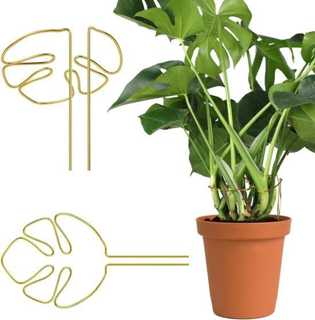 Support plante grimpante Monstera dor - Tuteur en mtal pour terrasse |  servas.fr