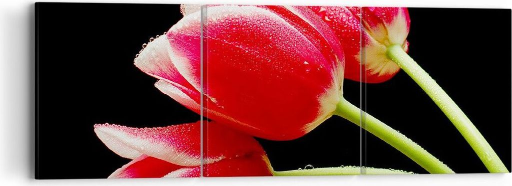 Bild auf Leinwand - Leinwandbild - Tulpe garten blume blumenstrauß - 90x30cm - Wand Bild - Wanddeko - Leinwanddruck - Bilder - Kunstdruck - Wandde...