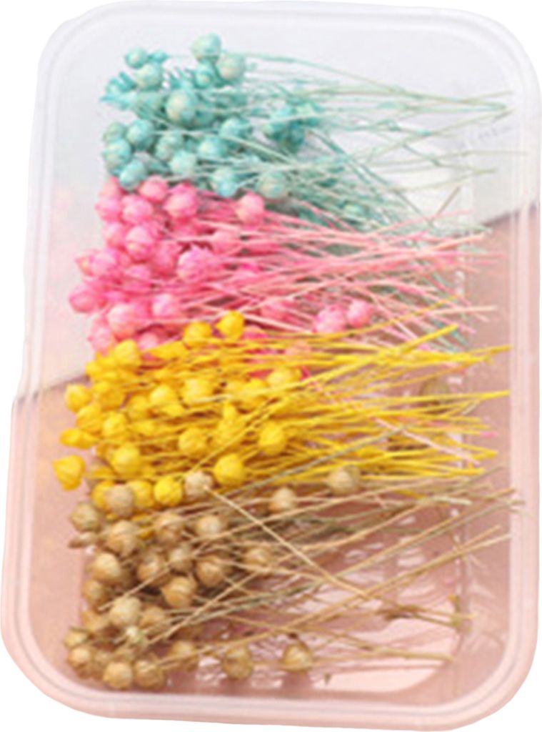 Trockenblumen-Set, echte natürliche Blumen, getrocknete Blumen in großen Mengen, DIY-Ewige Blumen, Material für handgefertigten Schmuck, Nägel,...