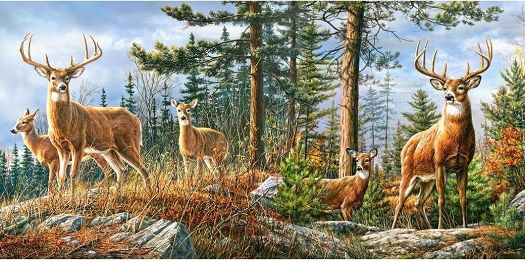 CASTORLAND Puzzle Royal Deer Family 4000 Teile Produktbild 
