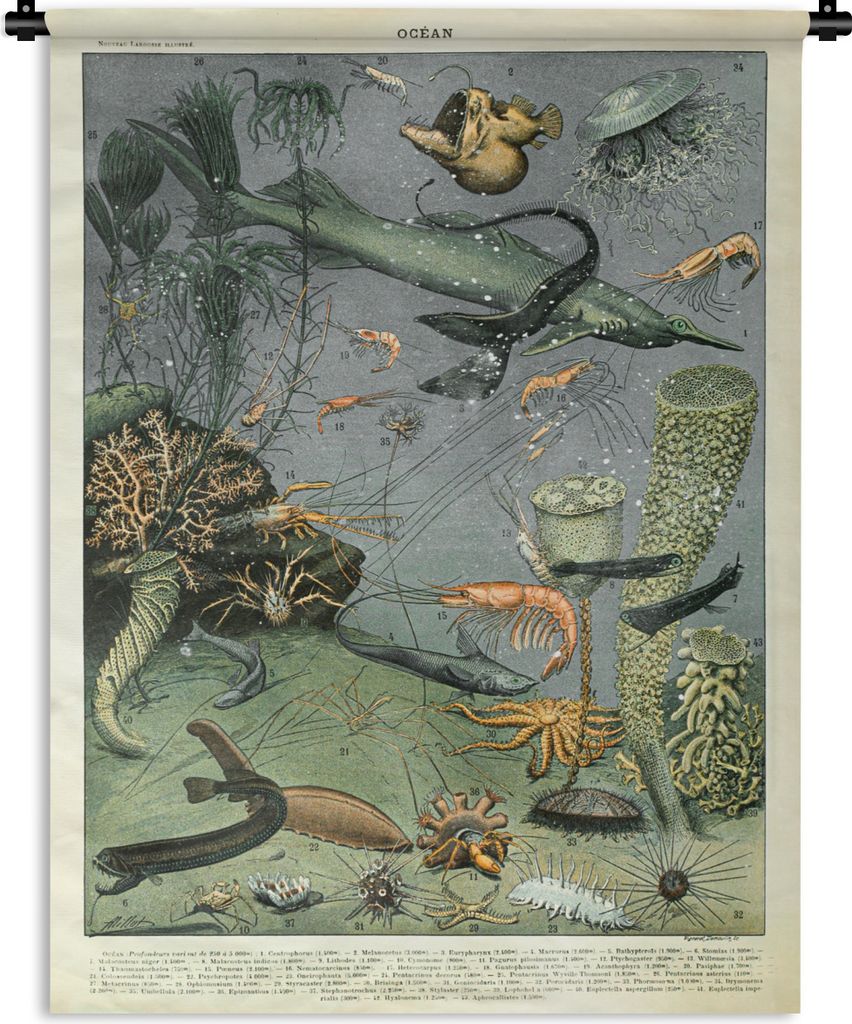 MuchoWow Wandteppich Wandbehang Meer - Korallen - Natur 150x200 cm Tapisserie Dekoration Wandtuch - Wandaufhängung - Moderner