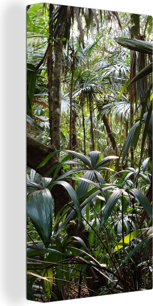 MuchoWow - Leinwandbilder - Pflanzen im Regenwald, Wandbild, Wanddeko Bilder Wohnzimmer, 40x80 cm