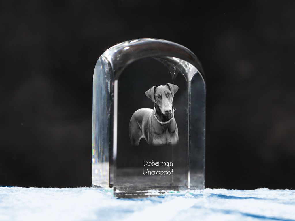 Dobermann I - Kristallwürfel mit Bild, Hundebild im Kristall, sechseckiger Papierclip von Art-Dog.