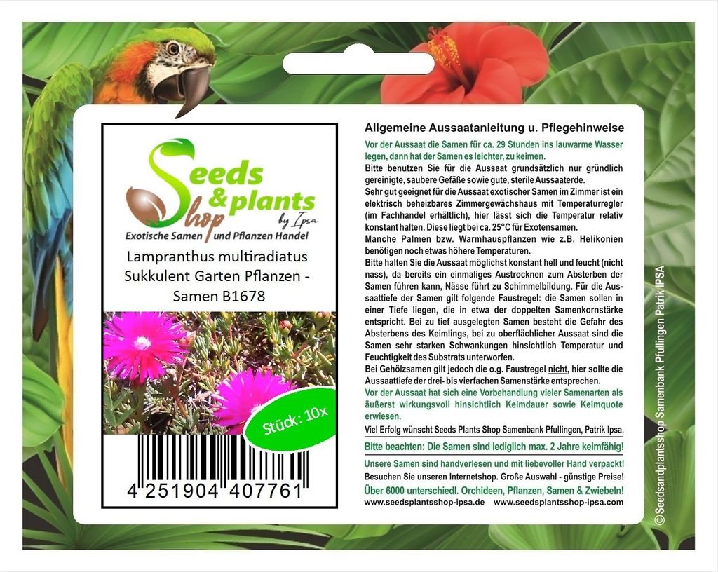 10x Lampranthus multiradiatus Sukkulent Garten Pflanzen - Samen B1678