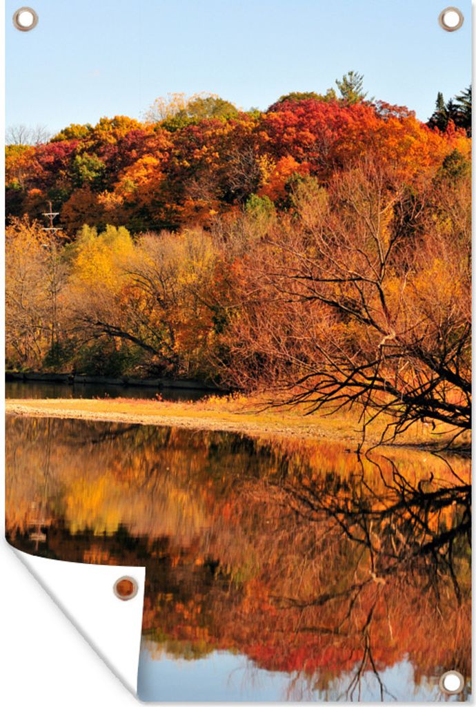 MuchoWow 60x90 cm Outdoor-Poster Gartendeko Sichtschutz Garten Poster für den Garten Wald im Herbst in Illinois