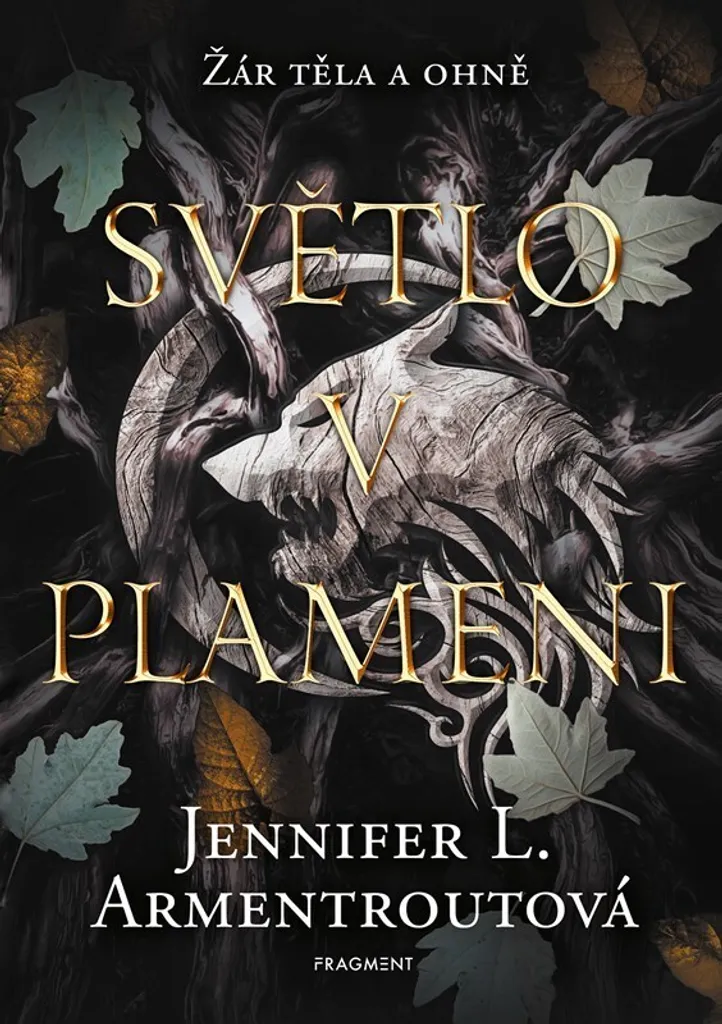 Livre Fantasy Světlo v plameni Jennifer L. Armentrout Edition Brochée