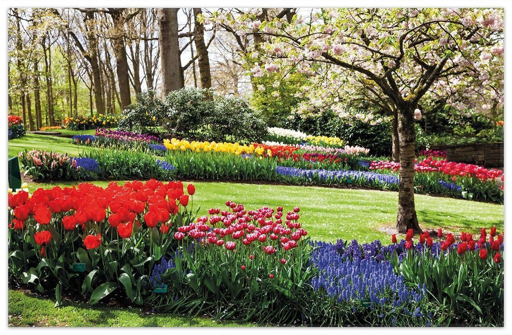 Wallario Premium Teppich, Größe 90 x 140 cm, Bunte Blumen und Kirsch-Baum im Park blühen im Frühling