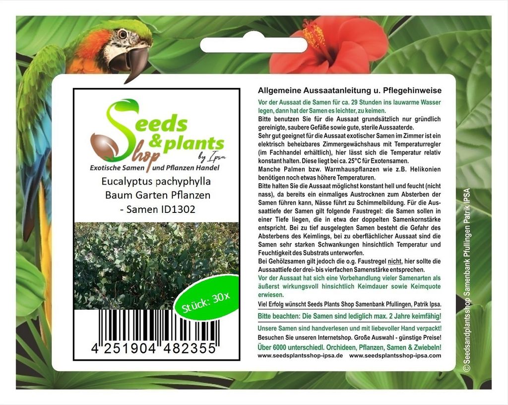 30x Eucalyptus pachyphylla Baum Garten Pflanzen - Samen ID1302