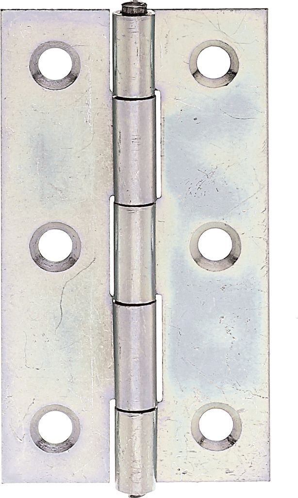 Cerniera Gustav Alberts 64,0x34mm in acciaio grezzo zincato Immagine del prodotto 
