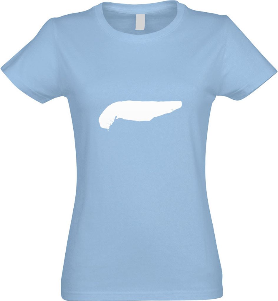 Kiwistar - T-Shirt tailliert - Damen - himmelblau - Spiekeroog - Deutschland - Insel - mit Motiv Bedruckt - Funshirt Design - Sport - Freizeit - Da...