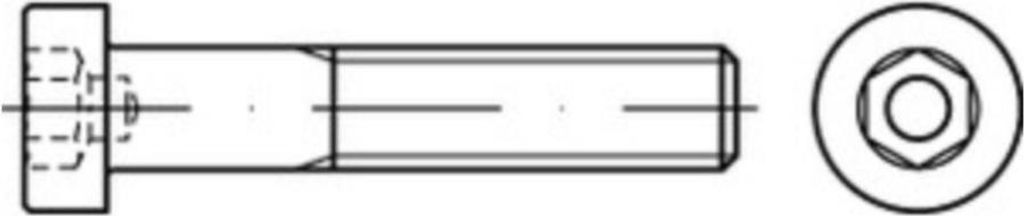 Reyher Zylinderschrauben DIN 6912 A 4 M 5 x 10 A 4 (100 Stück)