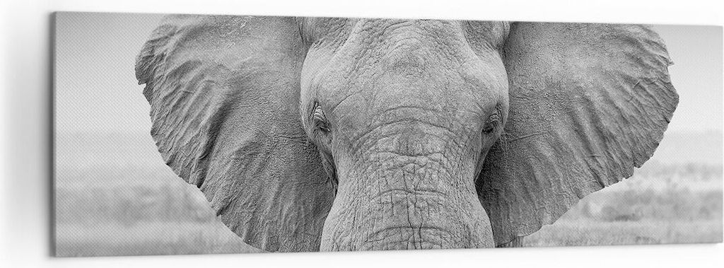 Bild auf Leinwand - Leinwandbild - Einteilig - Elefant Afrika Tier - 160x50cm - Wand Bild - Wanddeko - Wandbilder - Leinwanddruck - Bilder - Wandde...