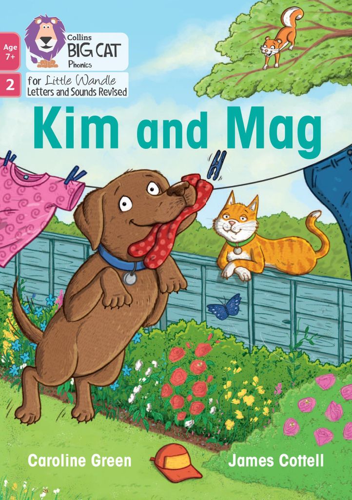 Big Cat Phonics For Little Wandle Letter – Lingua: Inglese