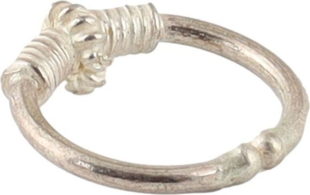 Septum - Fake - Piercing - Septumring - Silber