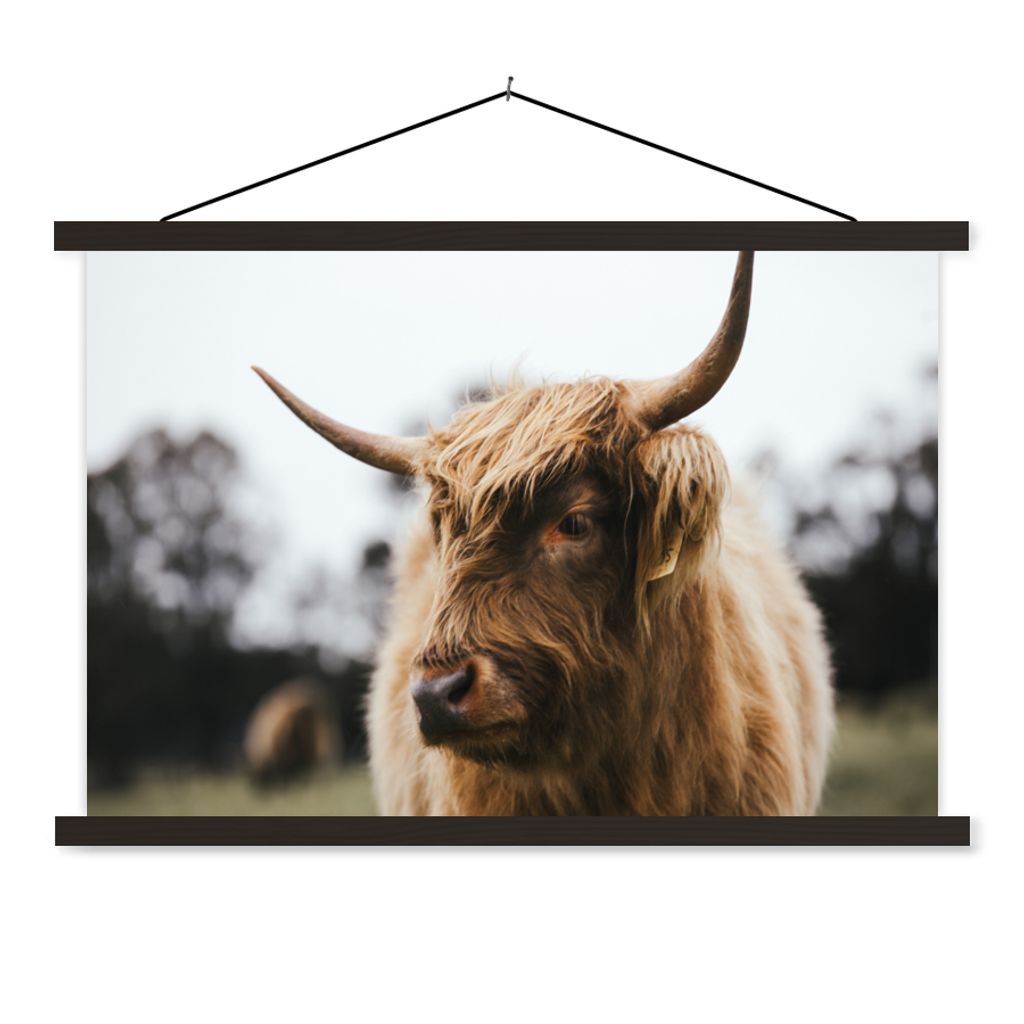 MuchoWow Textilposter Schottischer Highlander - Tiere - Hörner 150x100 cm mit schwarzem Rahmen - Schlafzimmer