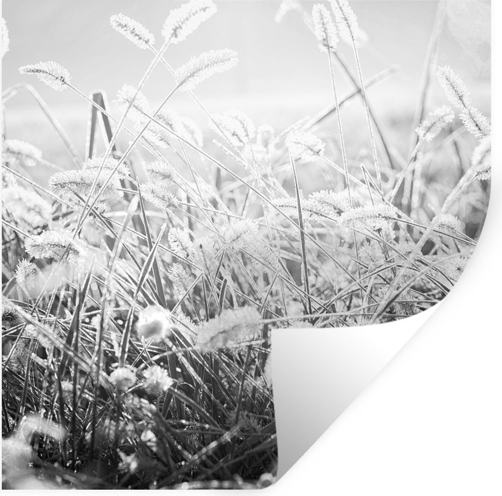 MuchoWow Wandtattoo Wandsticker Wandaufkleber Winter - Schwarz - Weiß - Eis 80x80 cm Selbstklebend und Repositionierbar - Wierderverwendbar - Se...