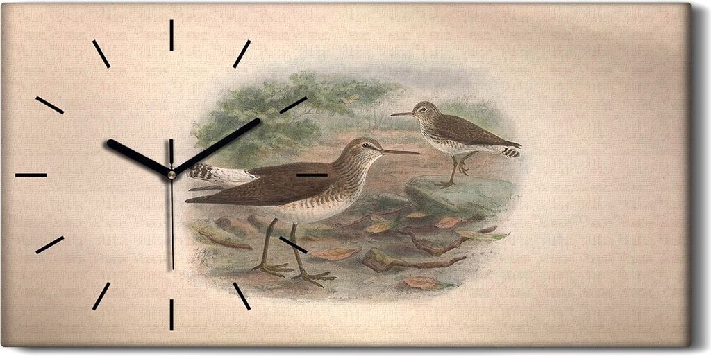 Küchenuhr Bürouhr Leinwand Uhr Quarz 60x30 Vögel Wild Tiere Zeichnung Kunst - schwarze Hände