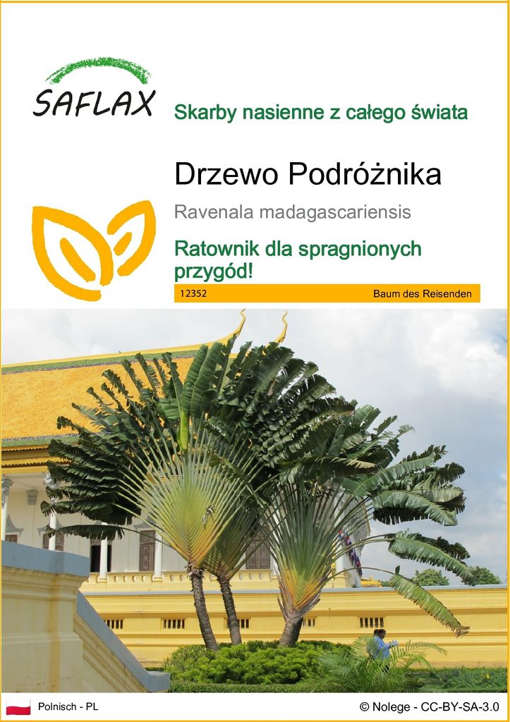 SAFLAX - Drzewo Podróżnika - 8 Nasiona - Ravenala Zdjęcie produktu 