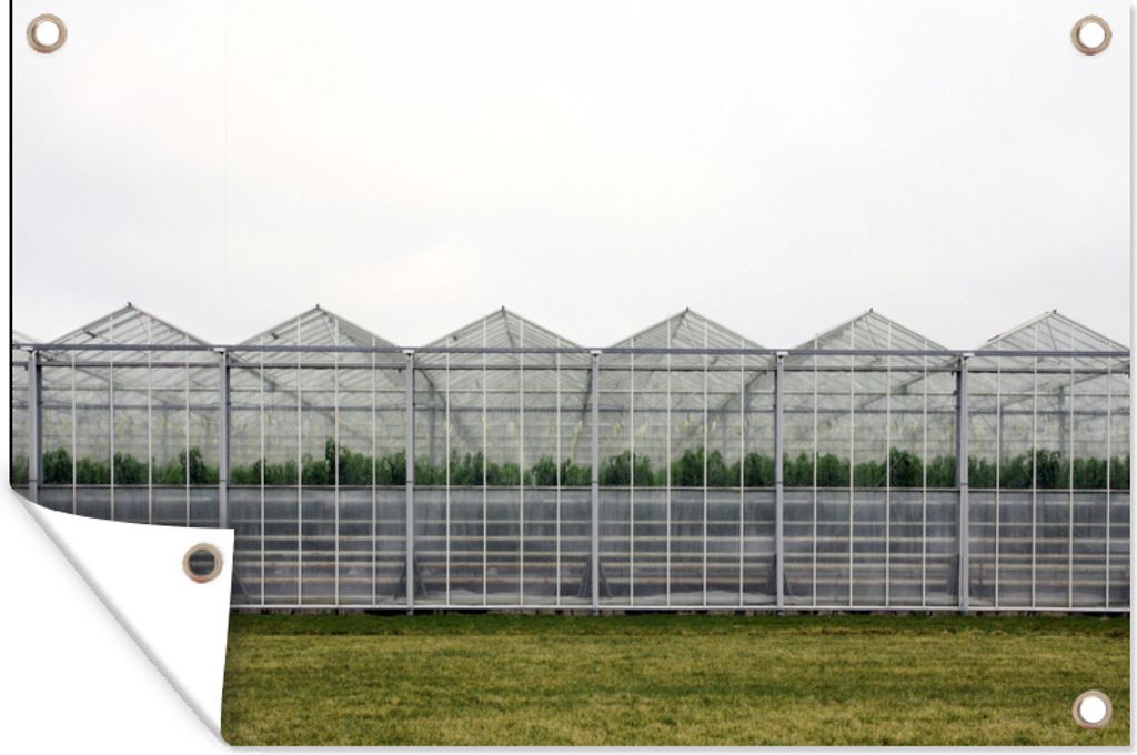 MuchoWow 120x80 cm Outdoor-Poster Gartendeko Sichtschutz Garten Poster für den Garten Ein großes Gewächshaus für den Gemüseanbau