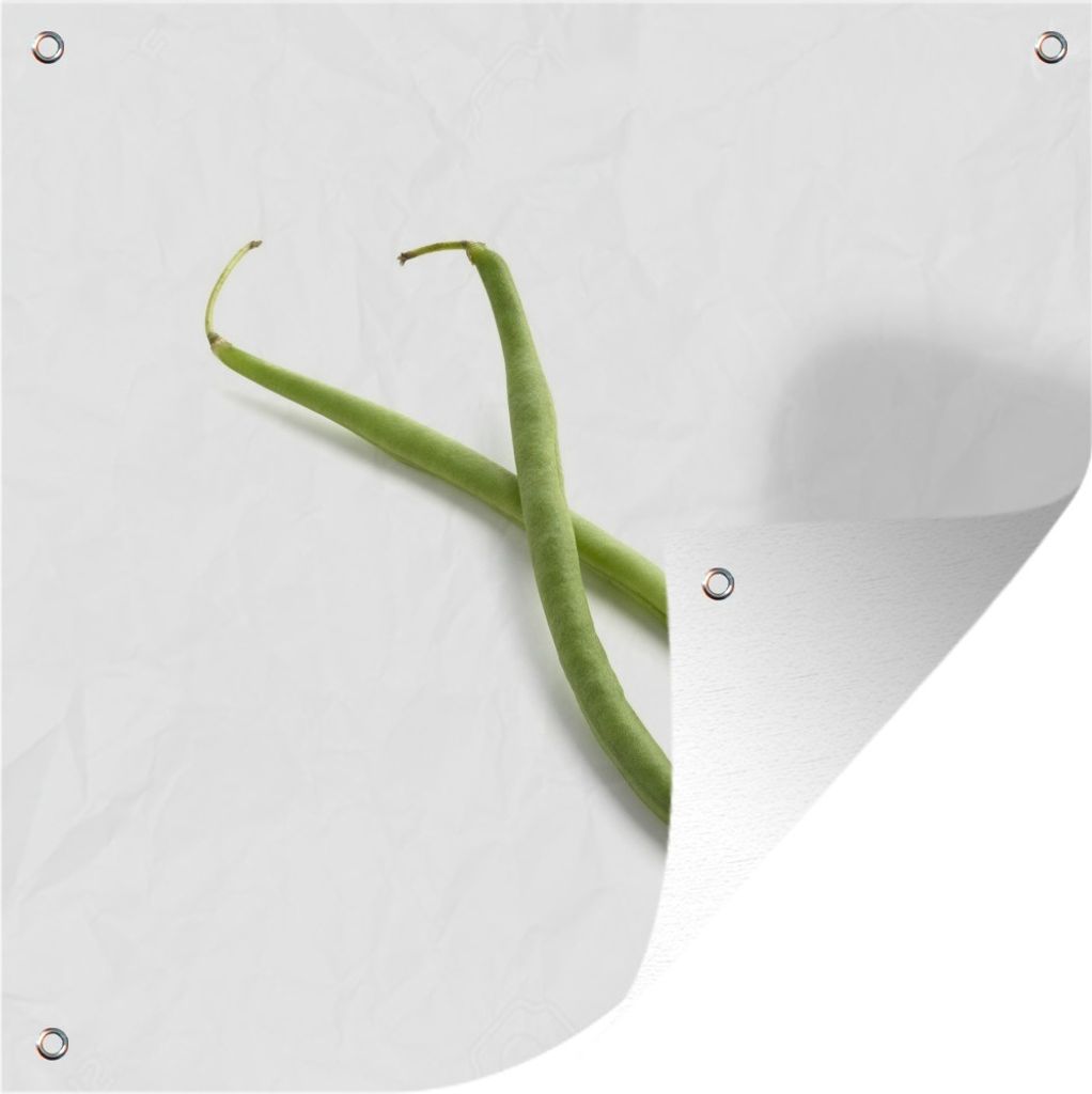 MuchoWow 50x50 cm Outdoor-Poster Gartendeko Sichtschutz Garten Poster für den Garten Grüne Bohnen vor weißem Hintergrund