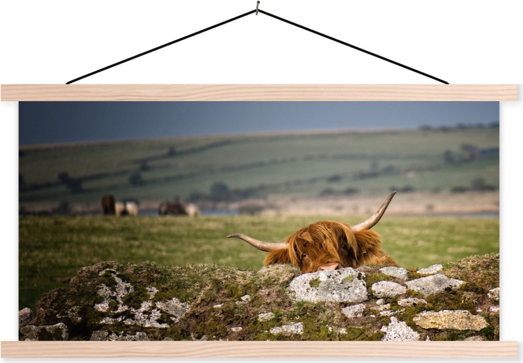 MuchoWow Textilposter Schottische Hochlandrind - Steine - Gras 120x60 cm mit holzfarbenen Rahmen - Klemmleiste