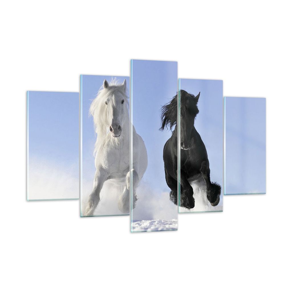 Bilder auf glas - Tiere Schönheit Wettbewerb - 150x100cm - Glasbilder - Wandbilder - Kunstdruck - zum Aufhängen bereit - Wanddekoration aus Glas ...