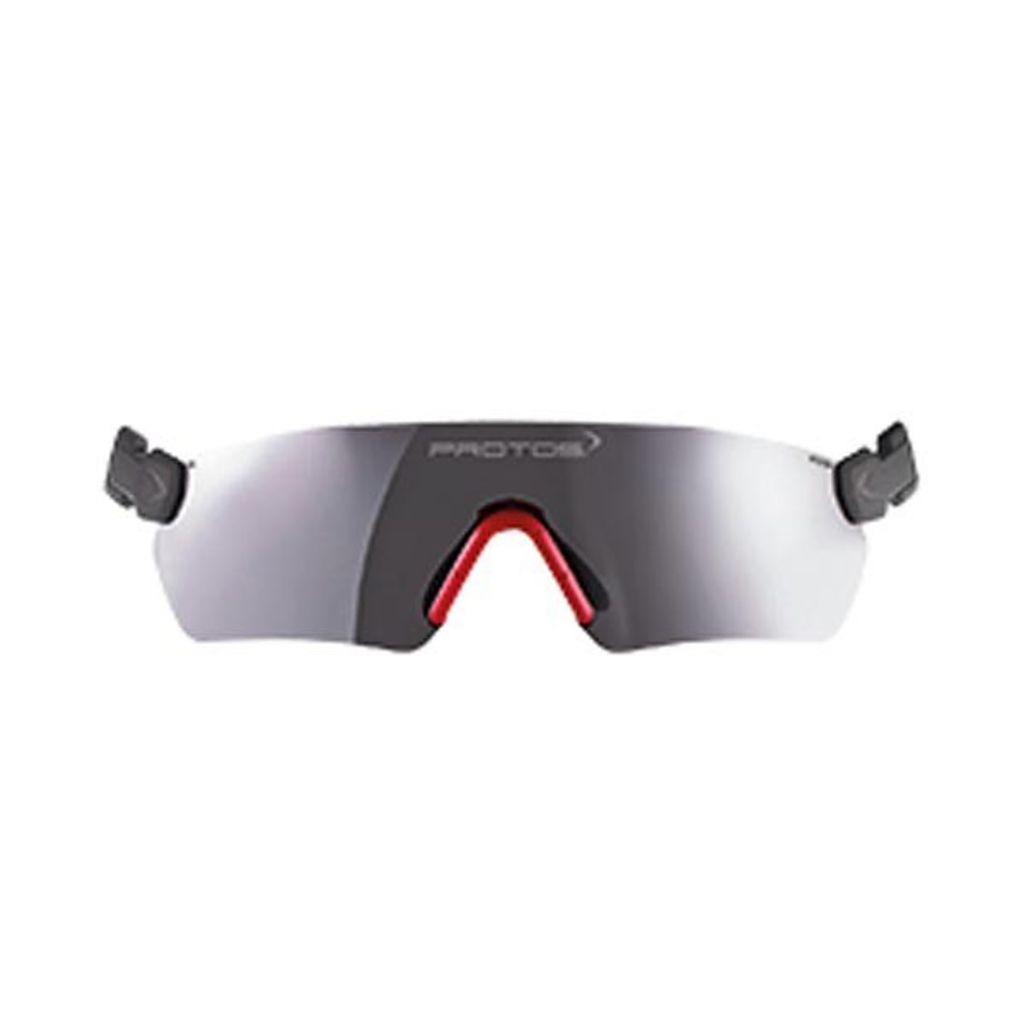 PROTOS Integral Schutzbrille/ Sicherheitsbrille, Grau
