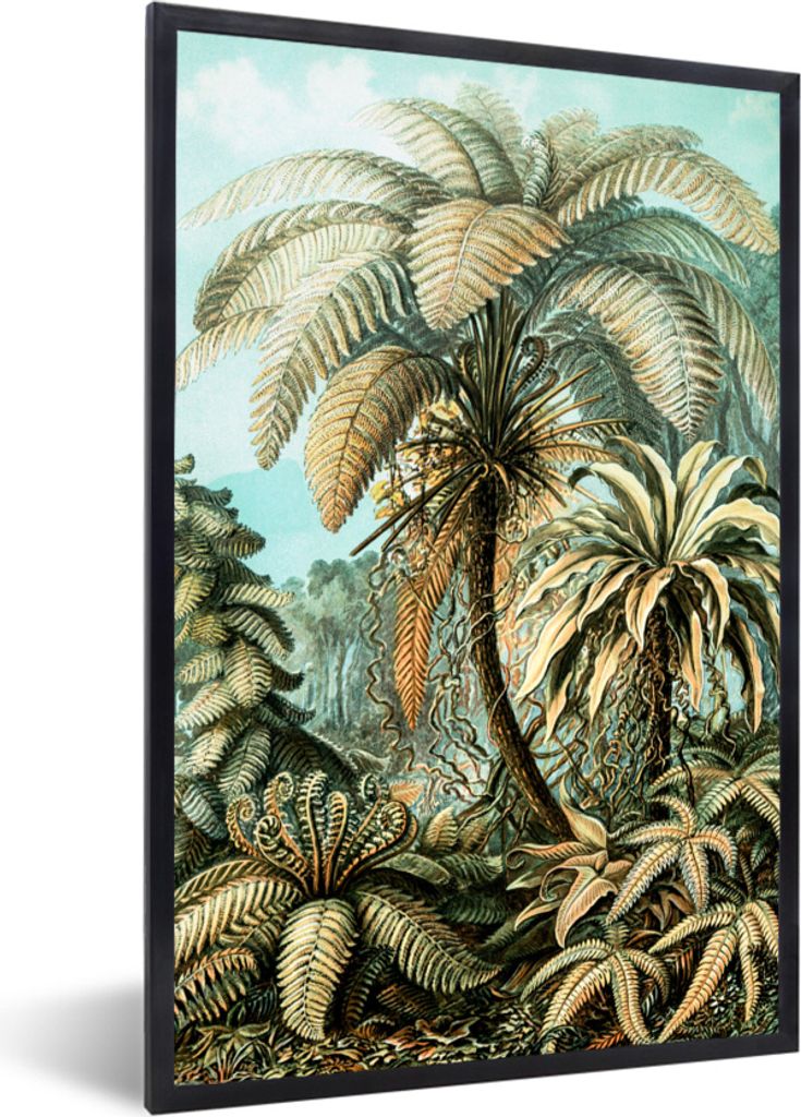 MuchoWow MuchoWow Gerahmtes Poster Palme - Ernst Haeckel 20x30 cm - Poster mit zchwarzem Bilderrahmen - Drucken - Bilder Poster im Rahmen