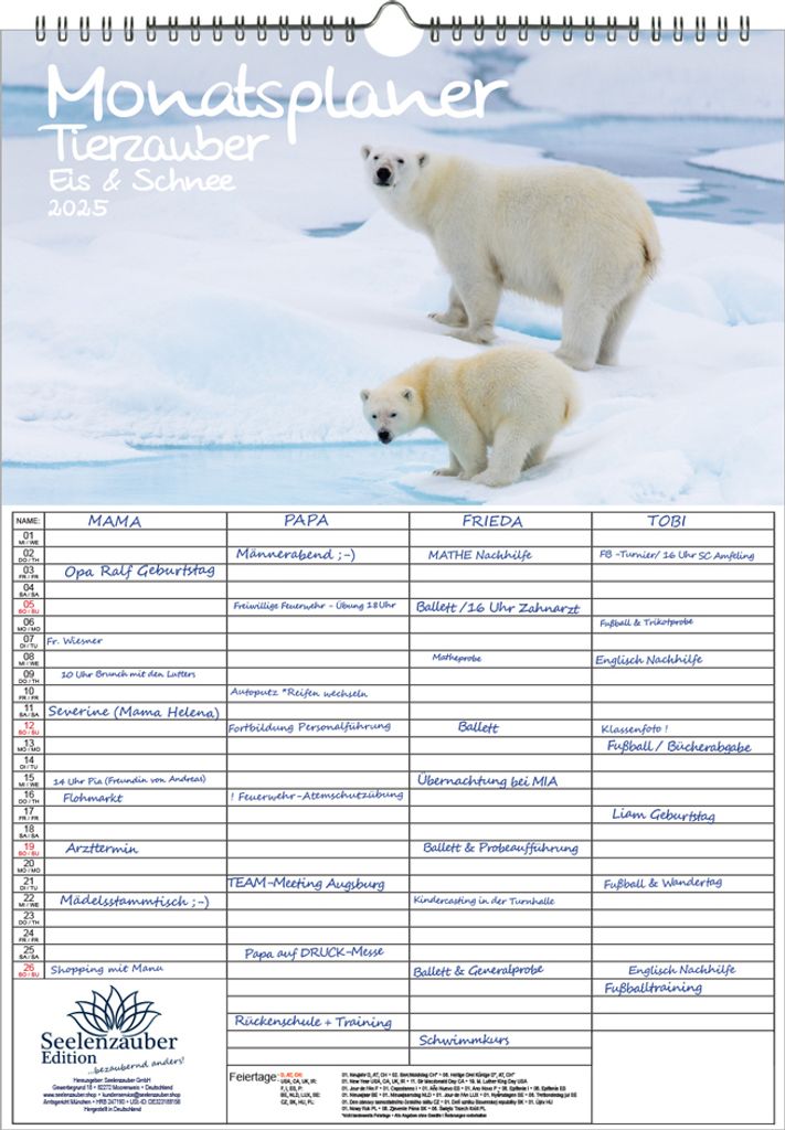 Tierzauber Eis und Schnee Planer Wandplaner Familienplaner 4 Spaltenplaner DIN A3 Kalender für 2025 Tiere aus dem Polargebiet - Seelenzauber