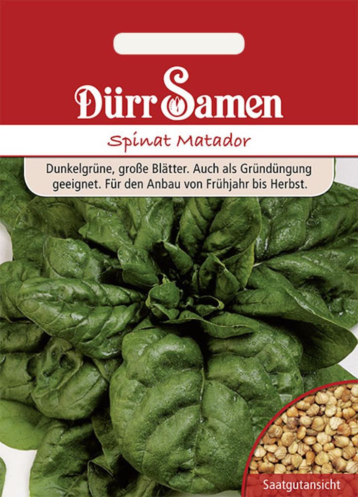 Dürr-Samen - Spinat Matador - Saatgut - 0043