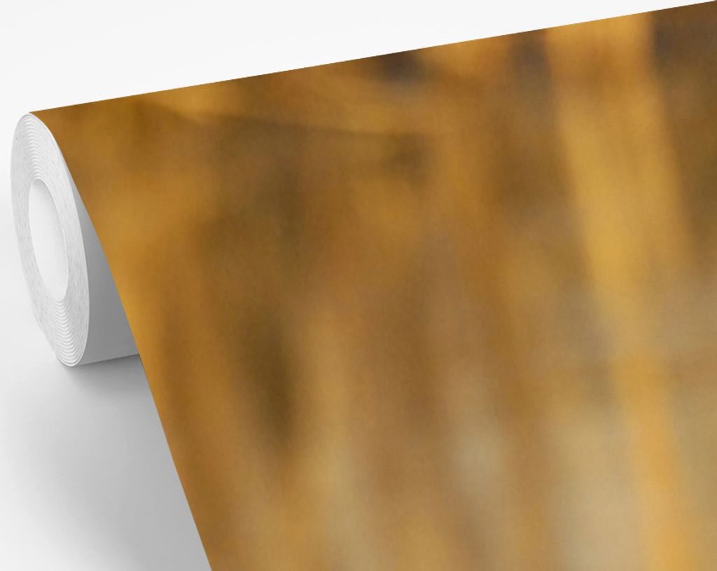 MuchoWow Fototapete für Wohnzimmer oder Schlafzimmer Wandtapete Vinyl Motivtapete Eine Rohrdommel läuft bei Sonnenaufgang über das Eis - 190x2...