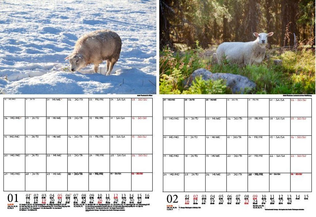 Seelenzauber Tischkalender Landschaftszauber Kalender Für 2025 Format 10cm X 10cm Landschaften S0kau0gc Seelenzauber Tischkalender Landschaftszauber Kalender Für 2025 Format 10cm X 10cm Landschaften S0kau0gc