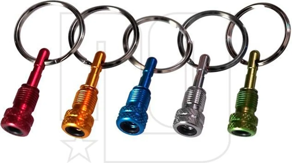 Set 15 Adaptateurs Valves Presta en AV NG Sports Aluminium Multicolore