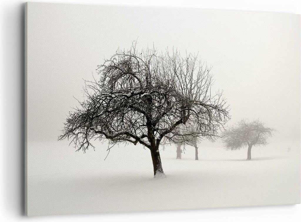 Bild auf Leinwand - Leinwandbild - Einteilig - Bäume Schnee Nebel - 100x70cm - Wand Bild - Wanddeko - Wandbilder - Leinwanddruck - Bilder - Wandde...